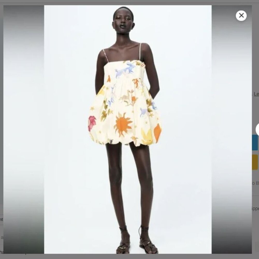 Zara printed bubble dress